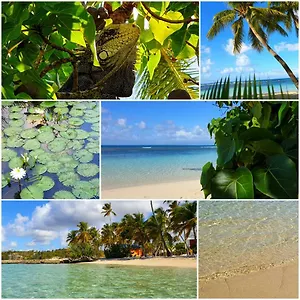 https://duplex-zen-et-studio-zen.comcaribbean.com